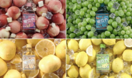 果立方,探索水果世界的无限可能